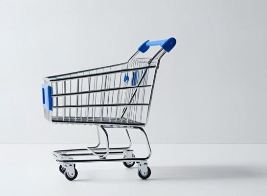 Get the best Shopify potential by adding Rapid ACH to it
