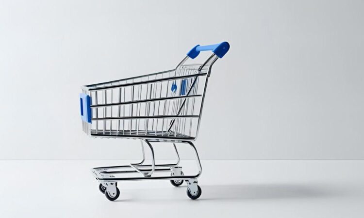 Get the best Shopify potential by adding Rapid ACH to it