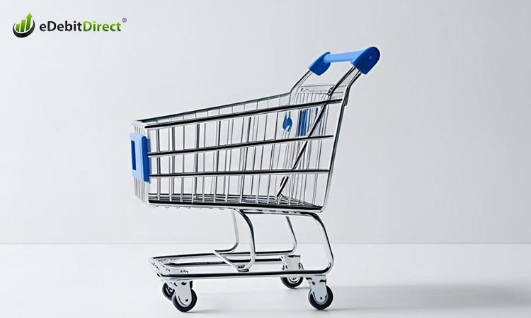 Get the best Shopify potential by adding Rapid ACH to it